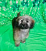 mediablock image