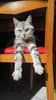 mediablock image