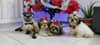 mediablock image