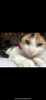 mediablock image