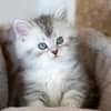Photo de profil
