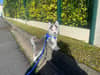 Photo de profil