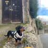 Photo de profil