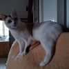 Photo de profil