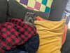mediablock image