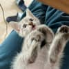 Photo de profil
