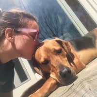 Taylor M.'s profile image