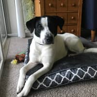 Allison C.'s profile image