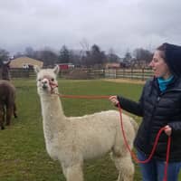 Terese P.'s profile image