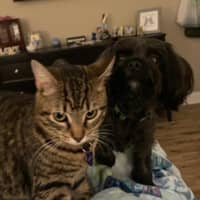 Jocie Joc K.'s profile image