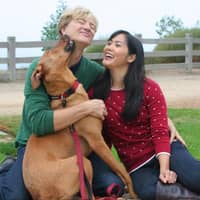 Owen And Krissy T.'s profile image
