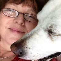 Ellen G.'s profile image
