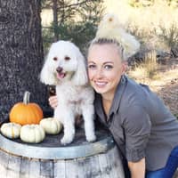 Tara O.'s profile image