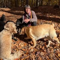 Michelle P.'s profile image