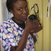 Akeeba M.'s profile image