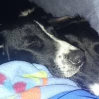 Angie F.'s profile image