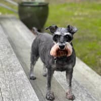 Rita N.'s profile image