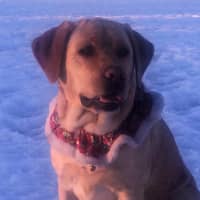 Stephanie B.'s profile image