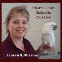 Janeen S.'s profile image
