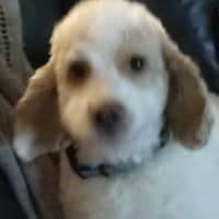 JUDY M.'s profile image