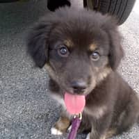 Lynn P.'s profile image