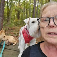 Sharon Z.'s profile image