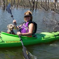 Cheryl M.'s profile image