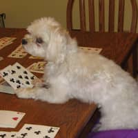 Mary B.'s profile image
