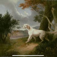 Toney D.'s profile image