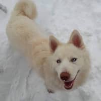 Estrella h.'s profile image
