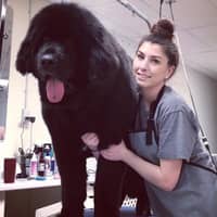 Amanda F.'s profile image