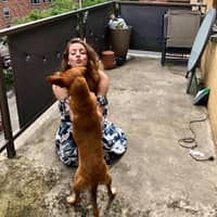 Renee S.'s profile image
