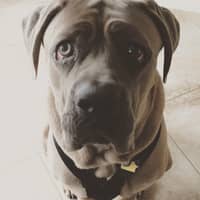 Quinn L.'s profile image