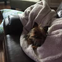 Dawn B.'s profile image