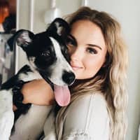 Hayes B.'s profile image