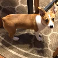 Daryle D.'s profile image