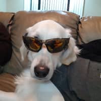 Caroline L.'s profile image