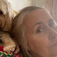 Sheilagh & Teresa D.'s profile image