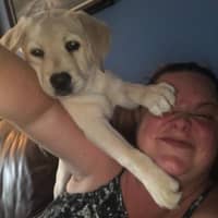 Elyse M.'s profile image