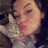 Taylor J.'s profile image