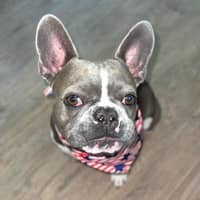 Maria's profile image