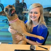 Mary Rodgers R.'s profile image