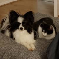 Susan G.'s profile image