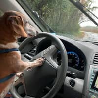 Grace T.'s profile image
