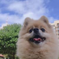 Eunbin L.'s profile image