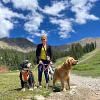 Tracy B.'s profile image