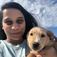 Anushka D.'s profile image