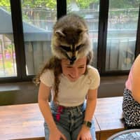Clare B.'s profile image