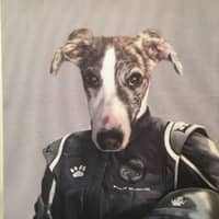 Jeanine P.'s profile image