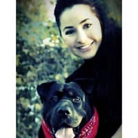 Hollie C.'s profile image
